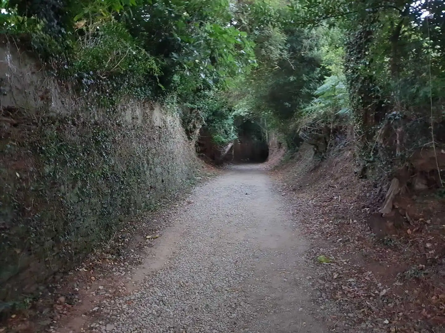 Camino de Santiago 2017 — hier entstand die Idee zu Denticor
